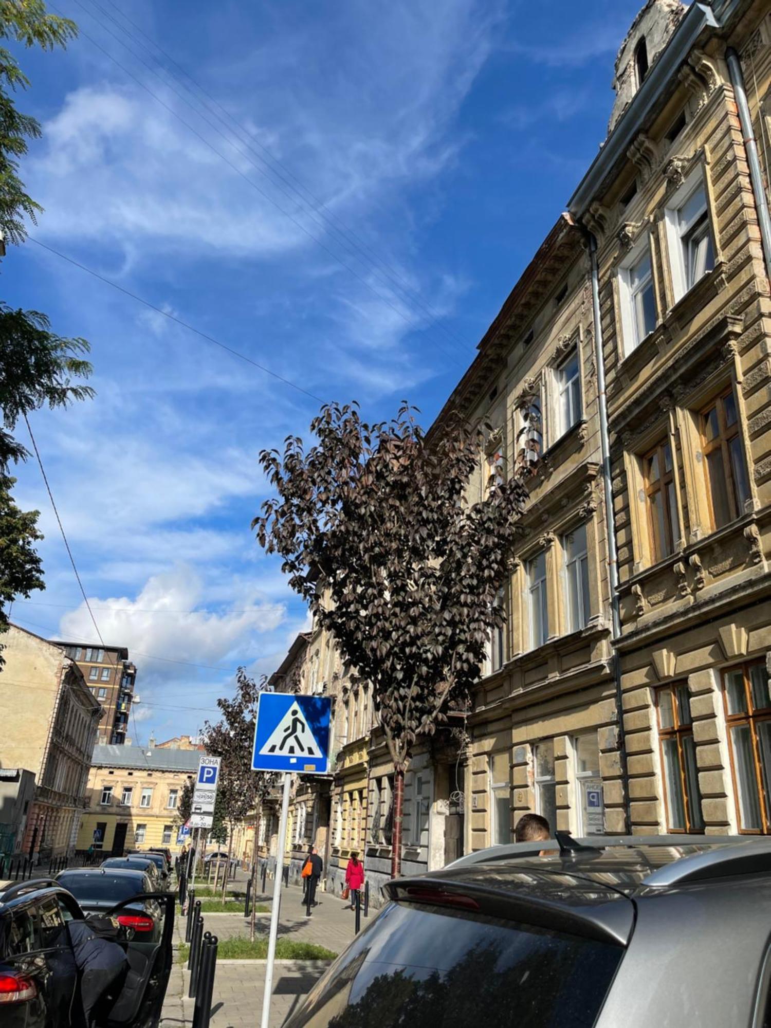 Vintage Apartment Kotlyarska10 Lviv Kültér fotó